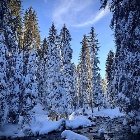 Cosy, Ski-in & Out, Parking, Vue, Central, Wifi