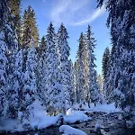 Cosy, Ski-in & Out, Parking, Vue, Central, Wifi