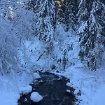 Cosy, Ski-in & Out, Parking, Vue, Central, Wifi 公寓 莫尔金斯