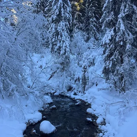 Cosy, Ski-in & Out, Parking, Vue, Central, Wifi Lejlighed Morgins
